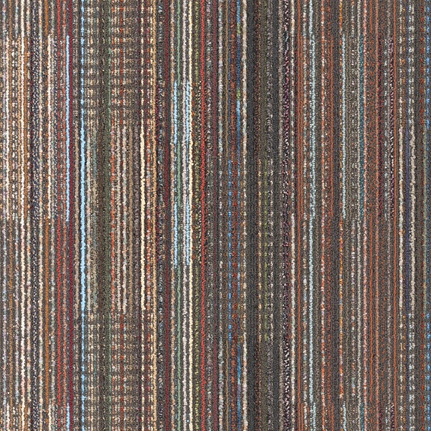 Queensferry 24" X 24" (72SF/carton) Carpet Tile In BLACK VELVET - Image 6